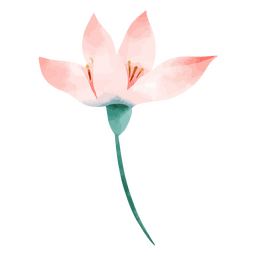 Flower watercolor nature delicate drawing PNG Design