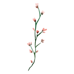 Blumen Aquarell zarte Zeichnung PNG-Design