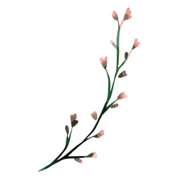 Blumen Aquarellzeichnung PNG-Design