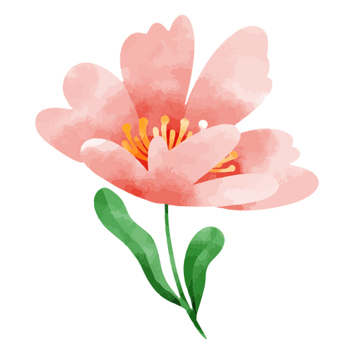 Dibujo de acuarela de flores Diseño PNG