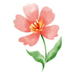 Flor delicada natureza botânica aquarela desenho