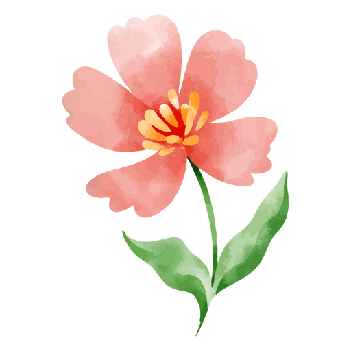 Flor delicada natureza botânica aquarela desenho