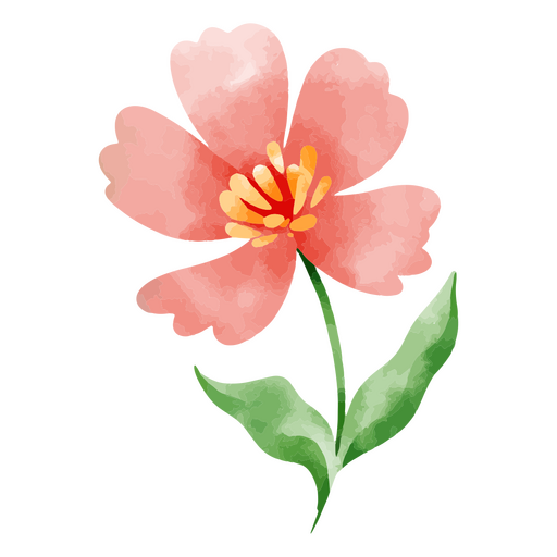 Flor delicada natureza botânica aquarela desenho Desenho PNG