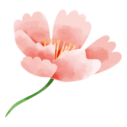 Desenho de aquarela botânico de natureza flor delicada Desenho PNG