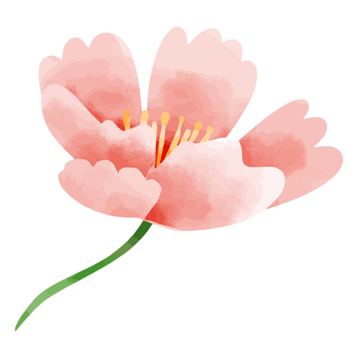 Dibujo de acuarela botánica de naturaleza de flor delicada Diseño PNG