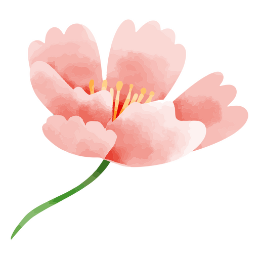 Dibujo de acuarela bot?nica de naturaleza de flor delicada Diseño PNG