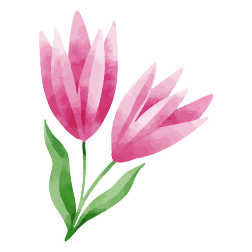 Dibujo de acuarela botánica de flor de naturaleza delicada Diseño PNG