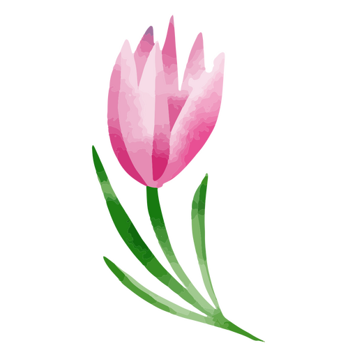 Desenho de aquarela de flor botânica de natureza delicada Desenho PNG
