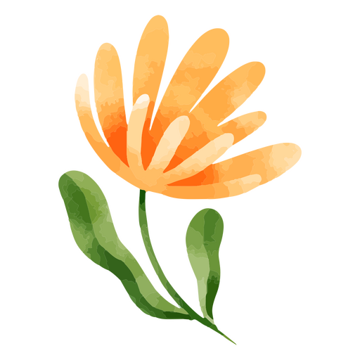 Desenho de flor de aquarela bot?nica de natureza delicada Desenho PNG