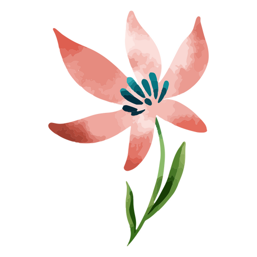 Flor de aquarela delicada botânica Desenho PNG