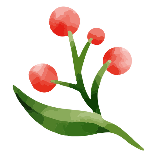 Flor de planta de acuarela delicada botánica Diseño PNG
