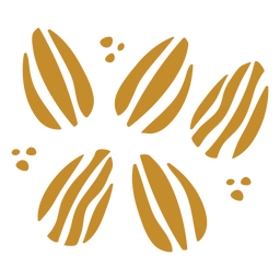 Summer nature cacao beans icon