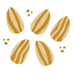 Summer cacao beans icon PNG Design