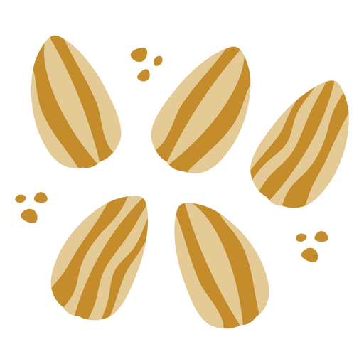 Icono de granos de cacao de verano