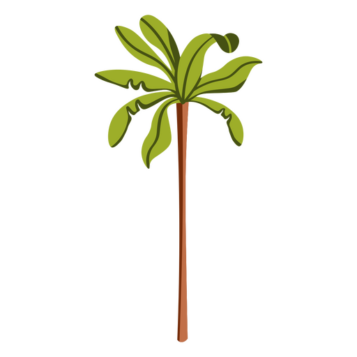 Minimalist palm tree PNG Design