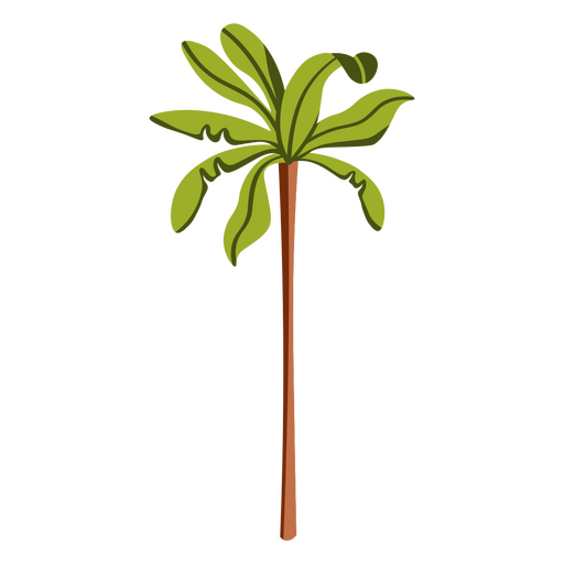 palmera minimalista Diseño PNG