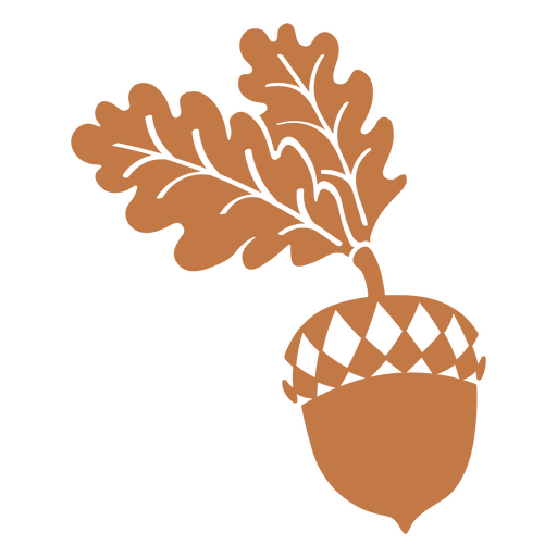 Fall botanic apricon icon PNG Design