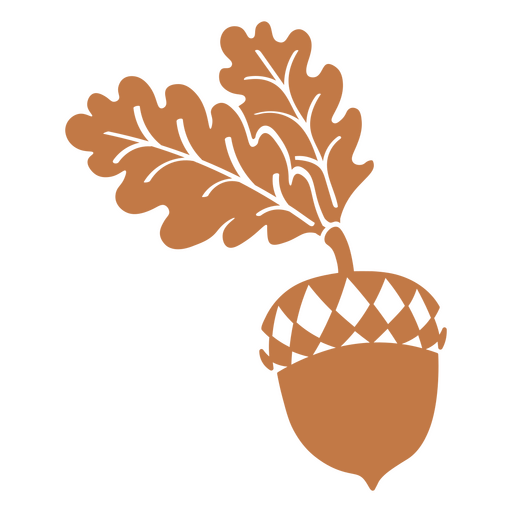 Icono de albaricoque botánico de otoño Diseño PNG