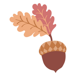 Fall botanic apricorn nut icon PNG Design
