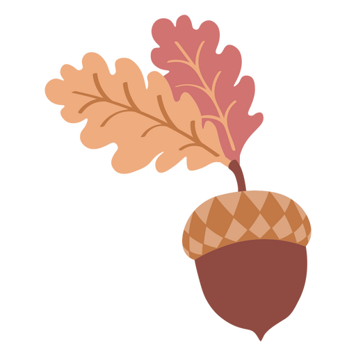 Fall botanic apricorn nut icon PNG Design