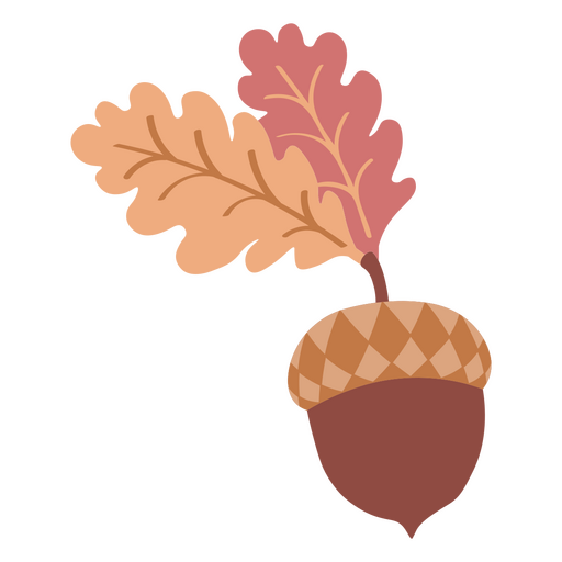 Icono de tuerca de albaricoque botánico de otoño Diseño PNG