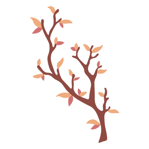 Fall botanic branch leaves icon