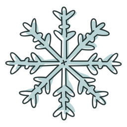 Winter botanic snowflake icon PNG Design Transparent PNG