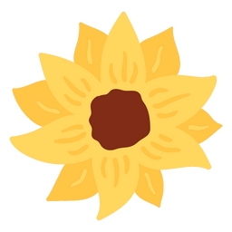 Flat sunflower petals