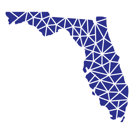 estados geométricos de florida Diseño PNG