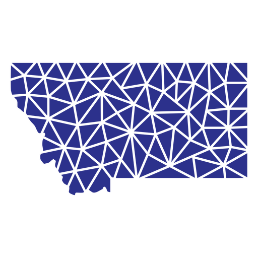 Estados geométricos de Montana