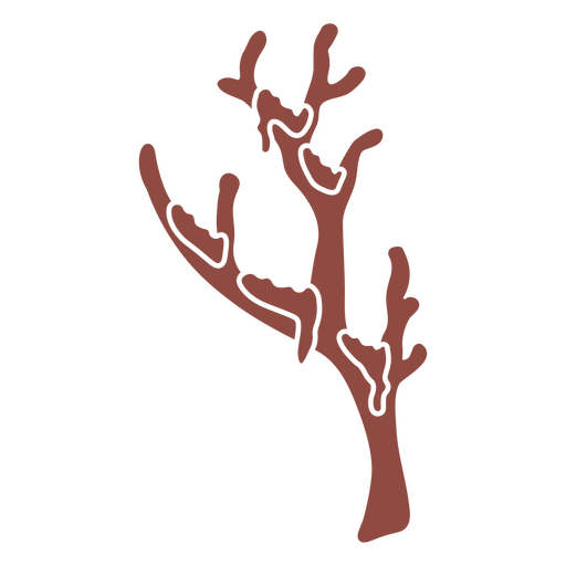 Icono de rama de naturaleza de invierno Diseño PNG