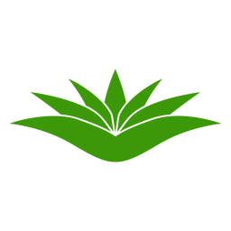 Icono de la planta botánica de la naturaleza Diseño PNG