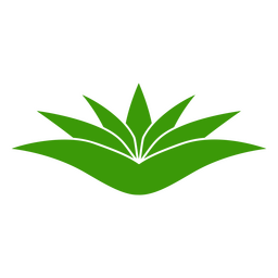 Nature botanic plant icon