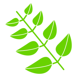Nature botanic plant leaf icon