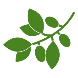 Icono de rama de olivo botánico de naturaleza