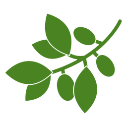 Symbol für den botanischen Olivenzweig der Natur PNG-Design