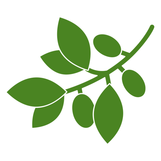 Nature botanic olive branch icon