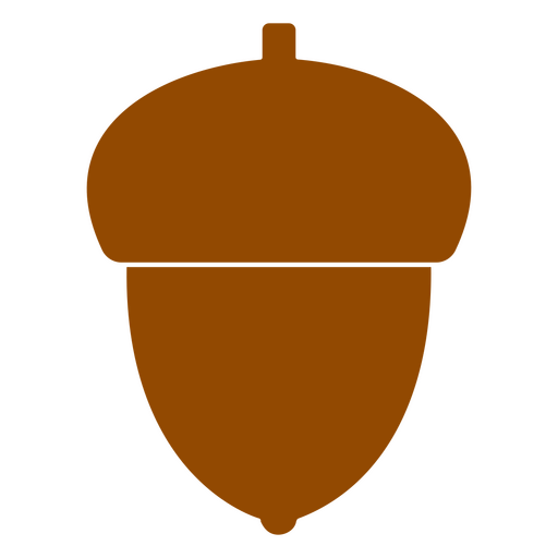 Nature apricorn nut icon PNG Design
