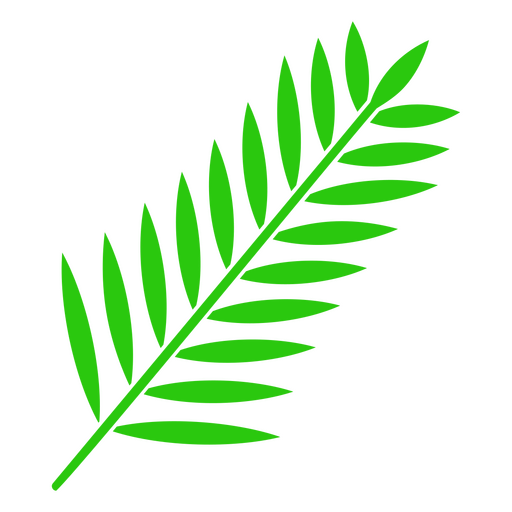 Pflanzenblatt-Natur-Symbol PNG-Design