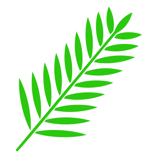 Plante o ícone da natureza da folha Desenho PNG