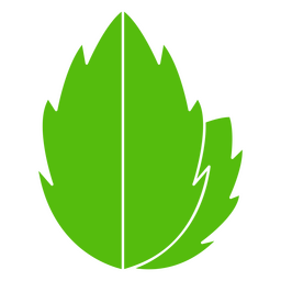 Botanic leaves nature icon Transparent PNG