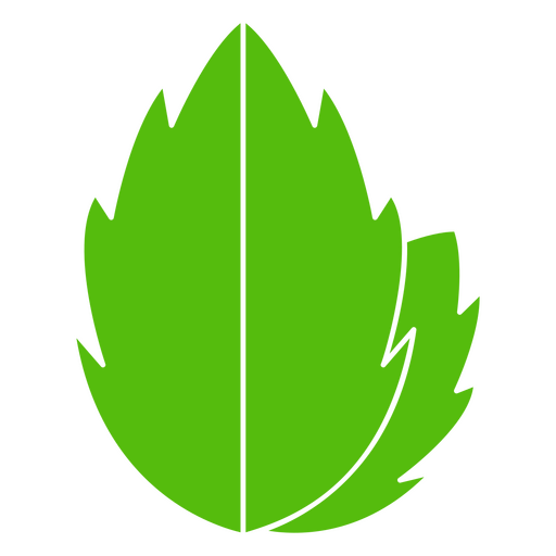 Botánico deja icono de la naturaleza Diseño PNG