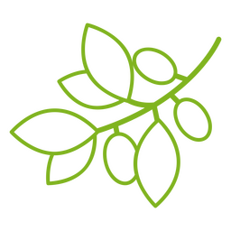 Botanisches Symbol für den Zweig der Olivenpflanze PNG-Design