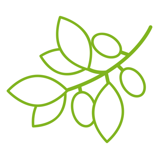 Icono de rama de planta de olivo botánico