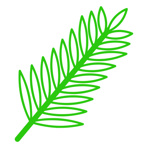 Plant botanic tree branch icon