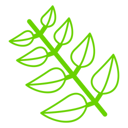 Ícone de folhas de ramos de plantas botânicas Desenho PNG