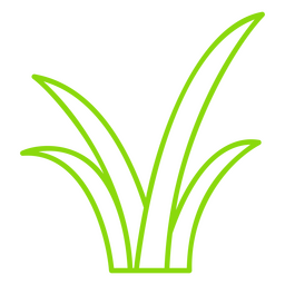 Botanic nature grass icon Transparent PNG