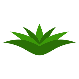 Small plant botanical nature icon PNG Design