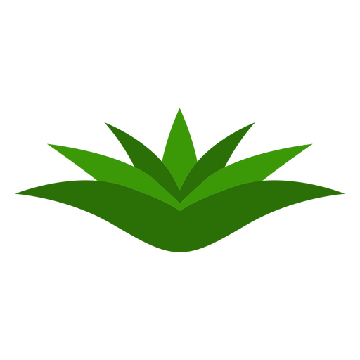 Ícone de natureza botânica de planta pequena Desenho PNG