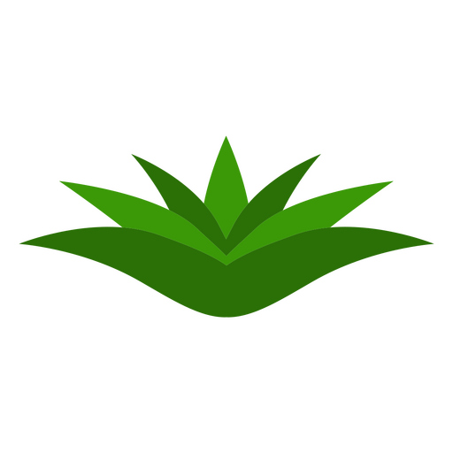 Icono de naturaleza botánica pequeña planta Diseño PNG